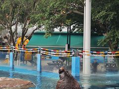 -海合安成都极地海洋公园