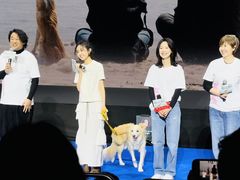 -首都电影院(西单店 LED巨幕)