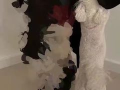 -瑞派宠物医院·中兽医专科(中央商城分院)