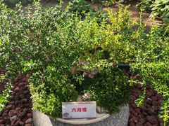 -北京市劳动人民文化宫(太庙)
