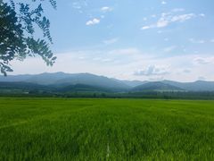 -五女山景区