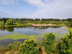 -东郊湿地公园