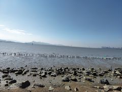 -深圳湾公园(南山区)