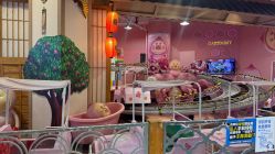 -卡通尼乐园(新达汇三林店)