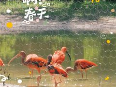 -石家庄市动物园