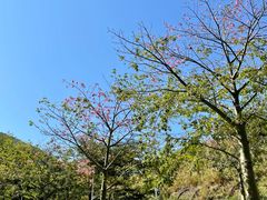 -SLOWOOD 咖啡餐食