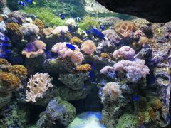 -郑州海洋馆