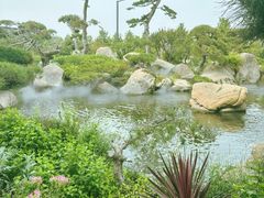 -罗红摄影艺术馆