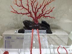 -安徽省地质博物馆