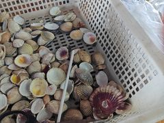 -蓝湾碧波·老字号·疍家非遗海上餐厅
