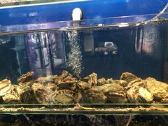 -海味当家·蒸锅海鲜(中山广场创始店)