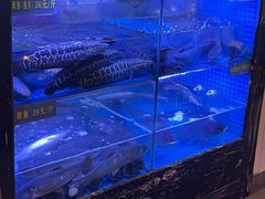 -盛源川香鱼火锅(西小区总店)