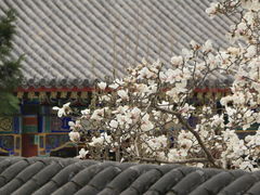 -北海公园