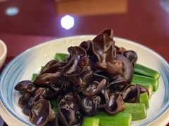 木耳秋葵-良友·海鲜青岛菜(五四广场店)