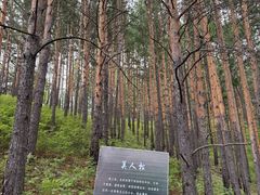 -莫尔道嘎国家森林公园
