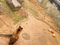 -无锡动物园·太湖欢乐园