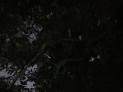 -城南花开咖啡(稻花村店)