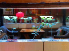 -望京一号·重庆江湖菜(工体店)