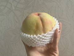 -老袁家蜜桃农场·阳山水蜜桃