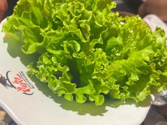 -杨记齐齐哈尔烤肉(五莲路店)