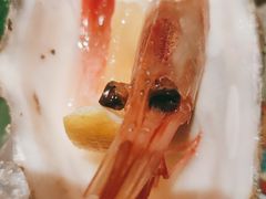 -西村日本料理(香格里拉饭店)