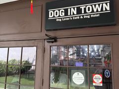 -Dog in Town Ekkamai