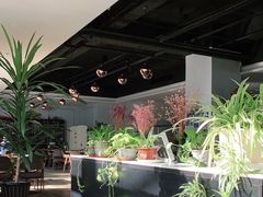 -香草意餐厅(杏石口路店)