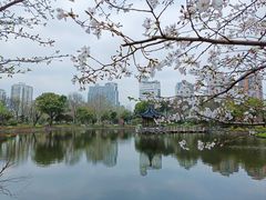 -和平公园