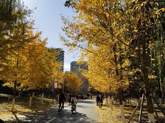 -长白岛森林公园