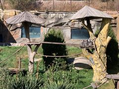 -大连森林动物园