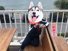 -濑长岛