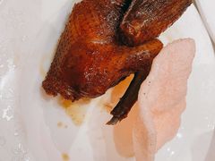 -红杏酒家(凤凰店)