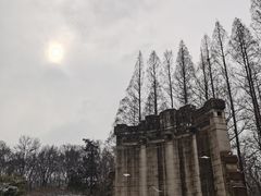 -音乐台