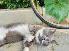 -元大都城垣遗址公园