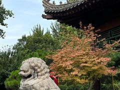 -莲湖公园