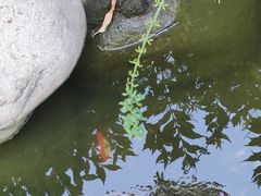 -太白山御龙湾温泉