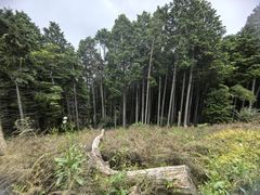 -比叡山