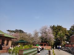 -华农酸奶文化馆