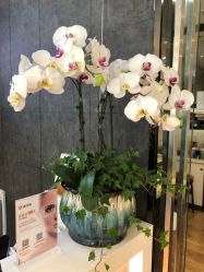 -意廊 Hair Salon