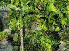 -国家植物园南园