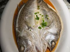 清蒸鲈鱼-绿茶餐厅(昌平悦荟店)