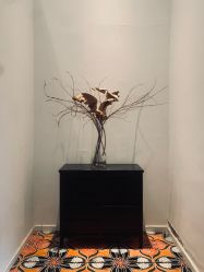 -无界瑜伽普拉提