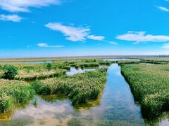-盐城丹顶鹤湿地生态旅游区