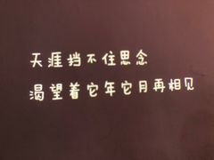 -成都失恋馆
