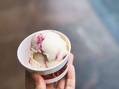 -哈根达斯(石家庄北国店)