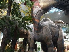 -湖南省地质博物馆