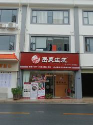 -岳灵生发养发馆