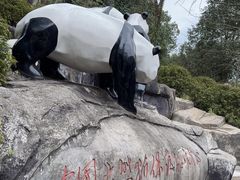 -都江堰中华大熊猫苑