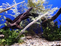 -上海海洋水族馆