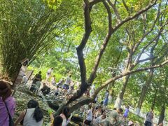 -成都市活水公园